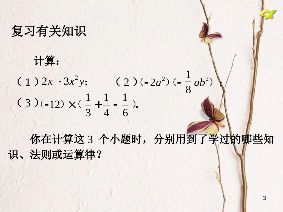 学年八年级数学上册 14.1 整式的乘法（4）课件 （新版）新人教版_第3页