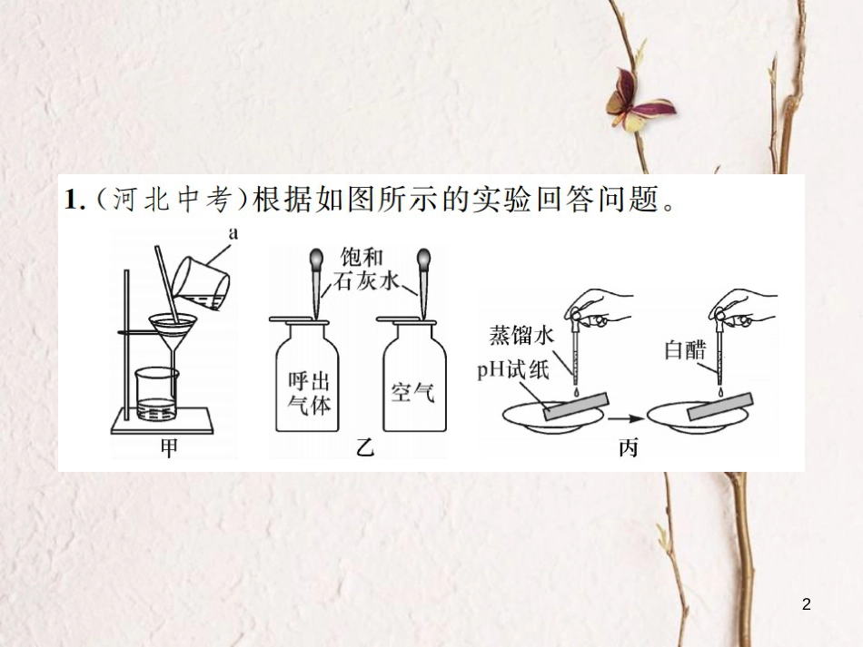 九年级化学下册 专题复习(二)基础实验题课件 (新版)新人教版_第2页
