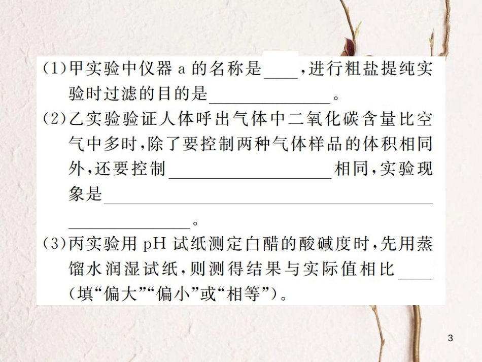 九年级化学下册 专题复习(二)基础实验题课件 (新版)新人教版_第3页