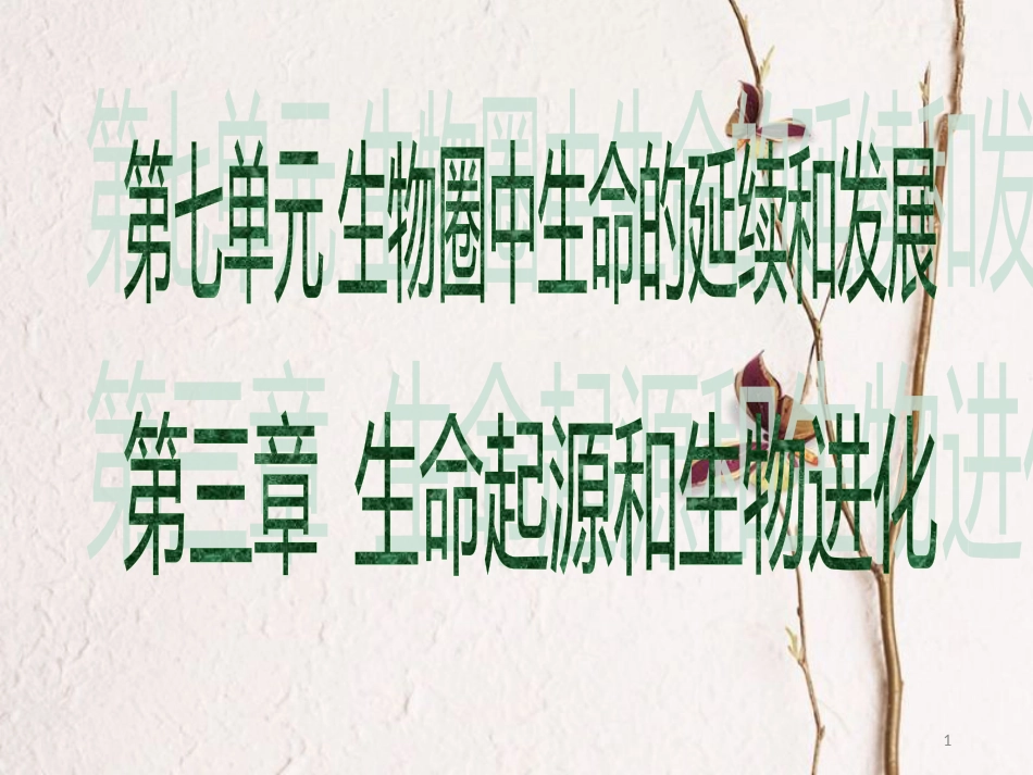 广东省中考生物 第七单元 生物圈中生命的延续和发展 第三章 生命起源和生物进化课件_第1页