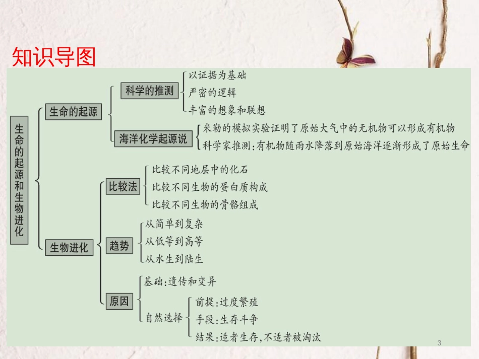 广东省中考生物 第七单元 生物圈中生命的延续和发展 第三章 生命起源和生物进化课件_第3页