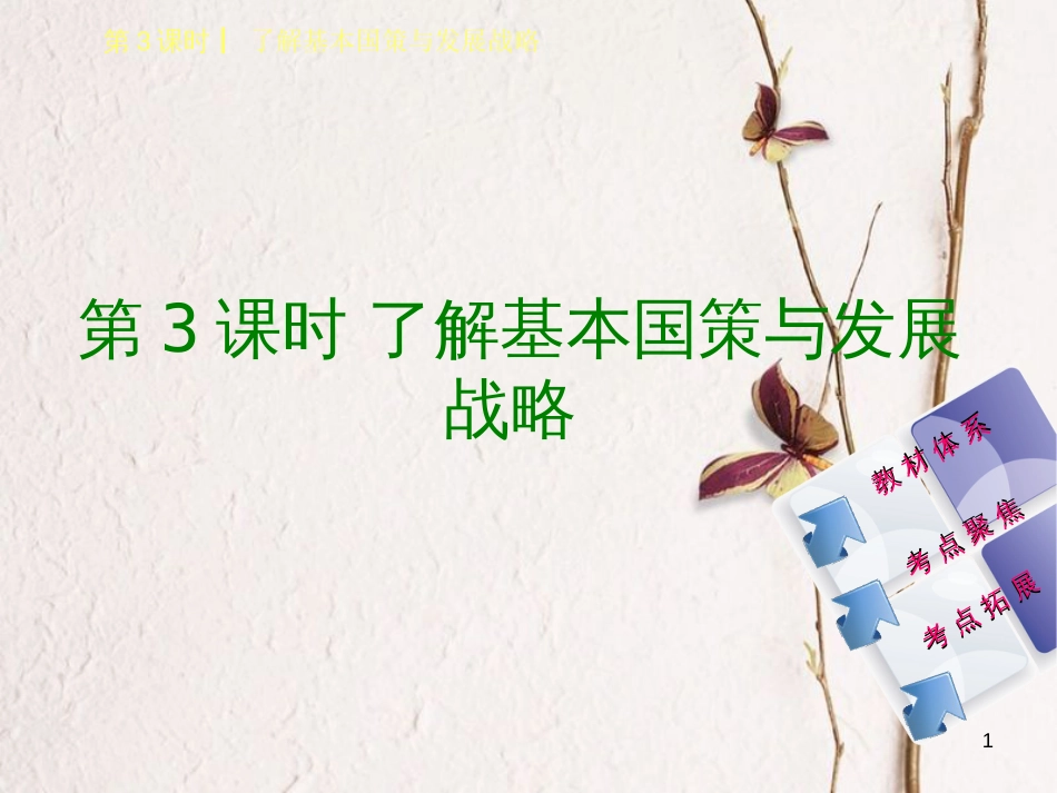 （鄂尔多斯专版）中考政治 九年级全一册 第3课时 了解基本国策与发展战略课件_第1页