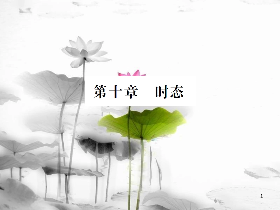 届中考英语复习 第二轮 语法突破 第十章 时态课件_第1页
