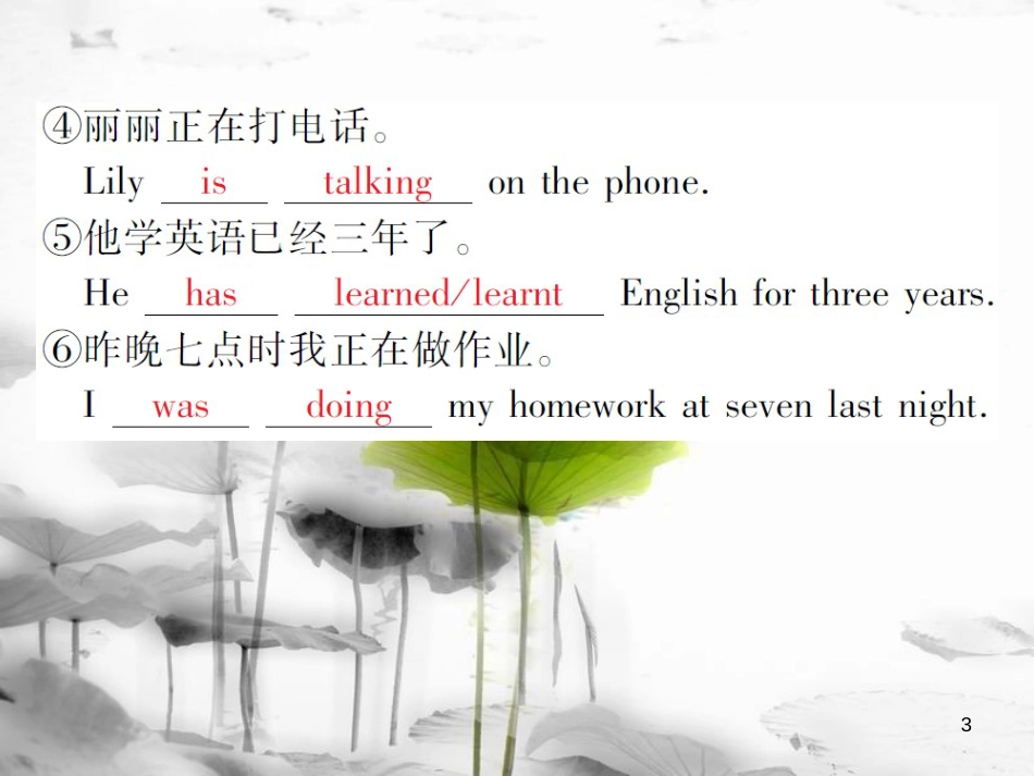届中考英语复习 第二轮 语法突破 第十章 时态课件_第3页