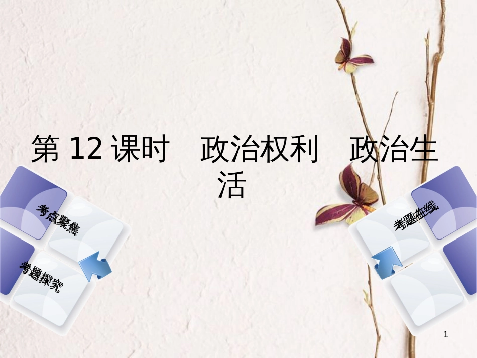 （河北专版）中考政治复习方案 第四单元 崇尚宪法 依法治国 第12课时 政治权利 政治生活课件_第1页