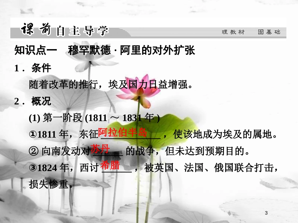 高中历史 第6单元 穆罕默德&#8226;阿里改革 第3课 改革的后果课件 新人教版选修1_第3页