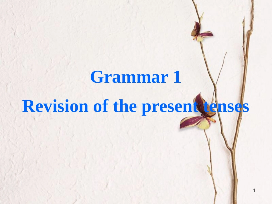 高中英语 Module 1 My First Day at Senior High Grammar课件 外研版必修1_第1页