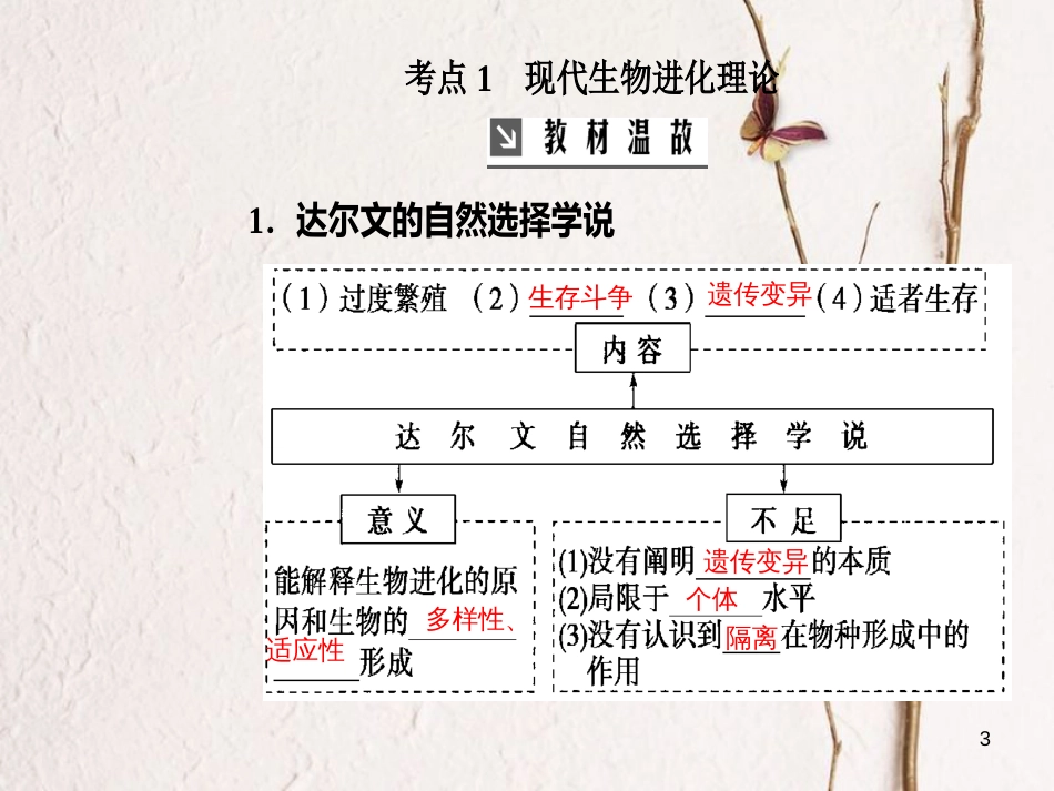 2019版高考生物总复习 第七单元 生物的变异、育种和进化 第4讲 现代生物进化理论课件_第3页