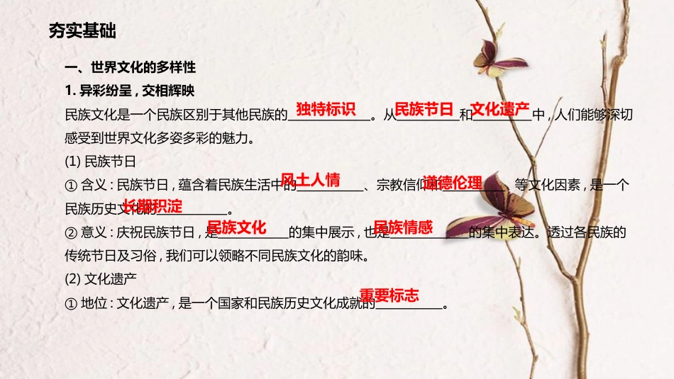 高考政治一轮复习 第二单元 文化传承与创新 第三课 文化的多样性与文化传播课件 新人教版必修3_第3页