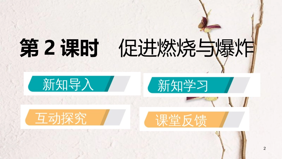 九年级化学上册 第六单元 燃烧与燃料 第一节 燃烧与灭火 6.1.2 促进燃烧与爆炸课件 （新版）鲁教版_第2页