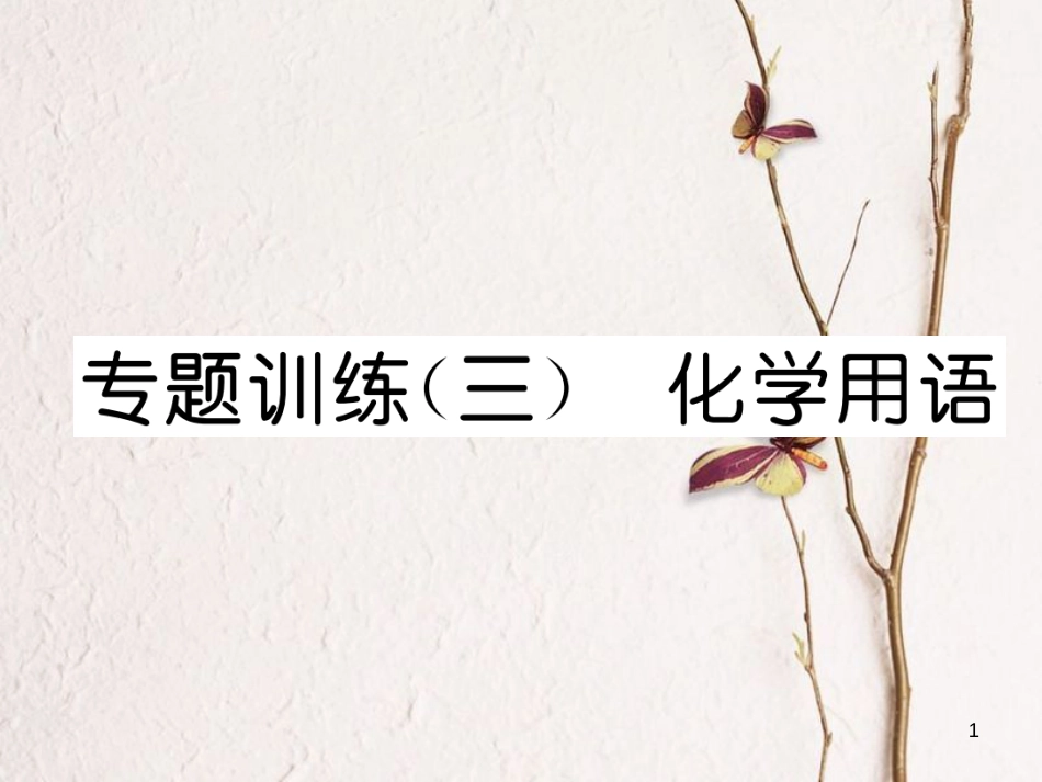 九年级化学上册 专题训练（三）化学用语习题课件 （新版）新人教版_第1页