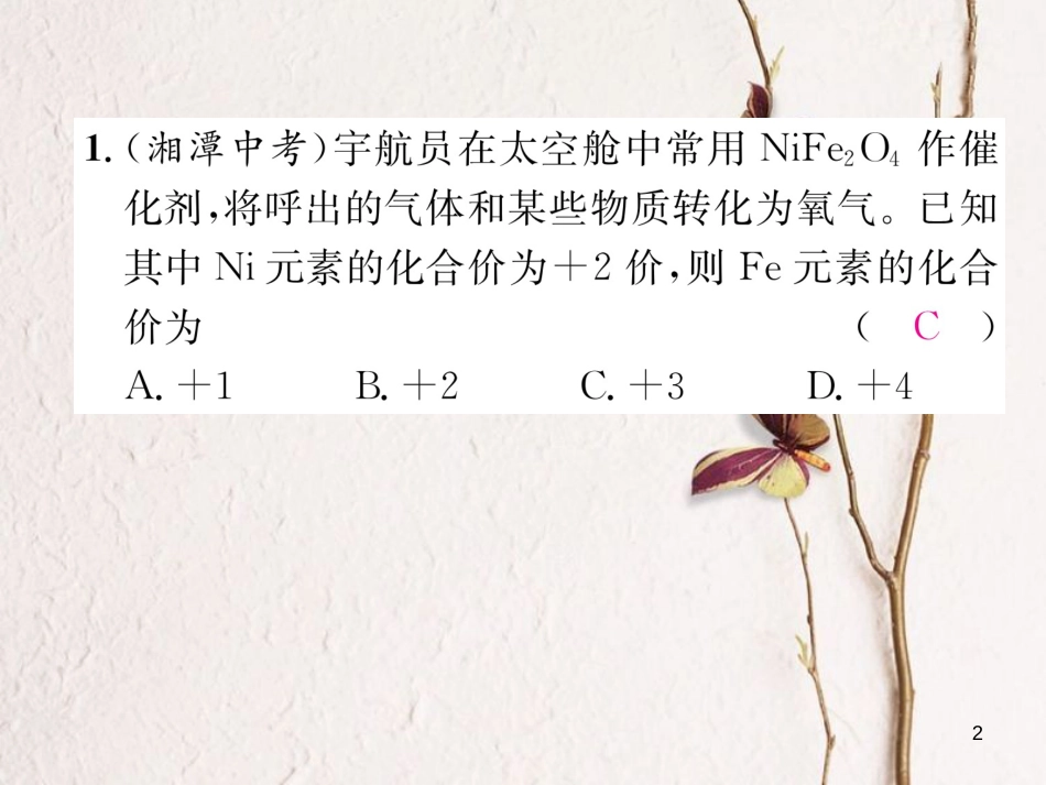 九年级化学上册 专题训练（三）化学用语习题课件 （新版）新人教版_第2页