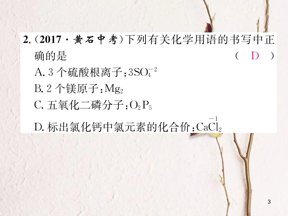 九年级化学上册 专题训练（三）化学用语习题课件 （新版）新人教版_第3页