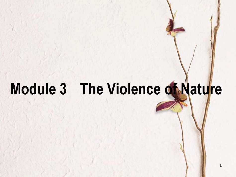 高考英语二轮复习 Module 3 The Violence of Nature课件 外研版必修3_第1页