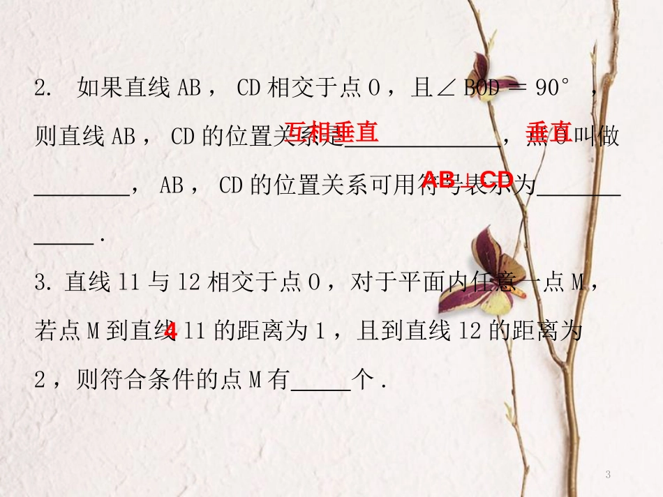 七年级数学下册 第五章 相交线与平行线 5.1 相交线 5.1.2 垂线课件 （新版）新人教版_第3页