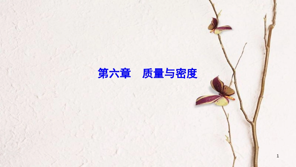 广东省佛山市中考物理 第六章 质量与密度复习课件_第1页