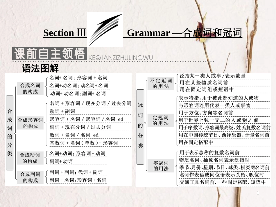 高中英语 Module 6 The Internet and Telecommunications Section Ⅲ Grammar-合成词和冠词课件 外研版必修1_第1页