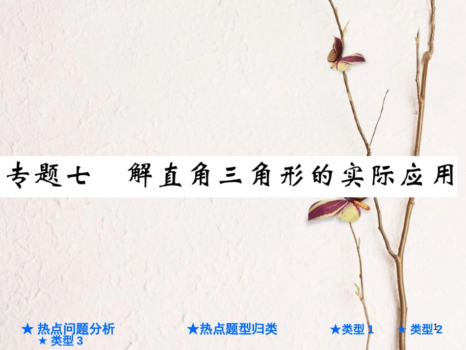 中考数学总复习 第二部分 重点专题提升 专题七 解直角三角形的实际应用课件_第1页