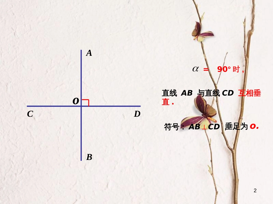 山东省诸城市桃林镇七年级数学下册 第5章 相交线与平行线 5.1 相交线 5.1.2 垂线课件 （新版）新人教版_第2页