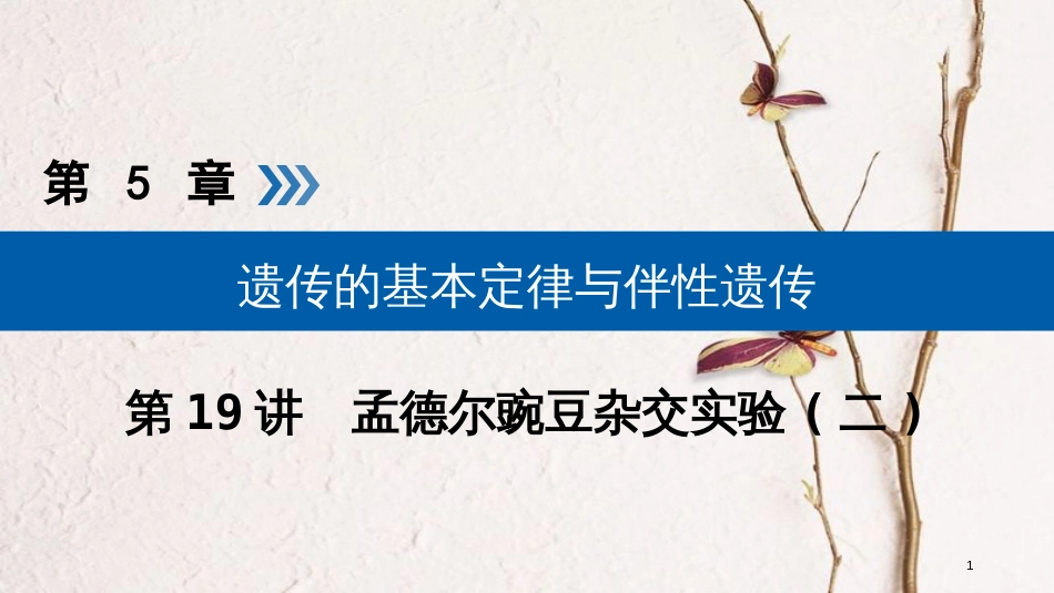 2019版高考生物大一轮复习 第19讲 孟德尔的豌豆杂交实验（二）优选课件_第1页