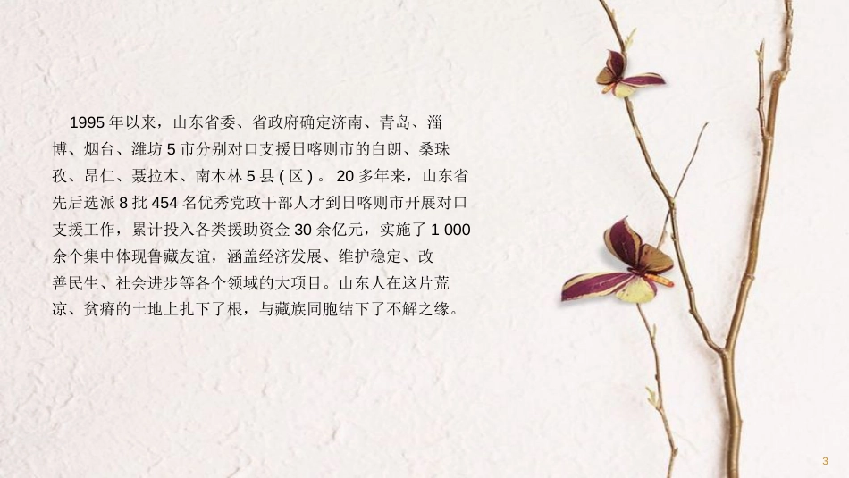 （潍坊专版）中考政治总复习 专题突破五 加强民族团结 维护国家安全课件_第3页