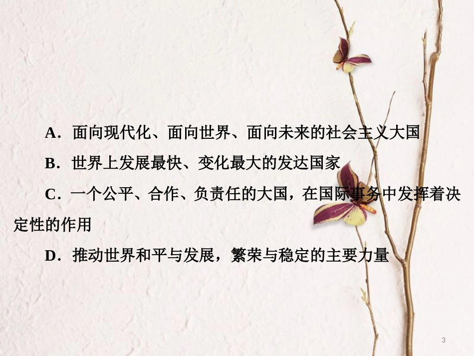 九年级政治全册 第二单元 了解祖国 爱我中华 第三课 认清基本国情课后训练课件 新人教版_第3页