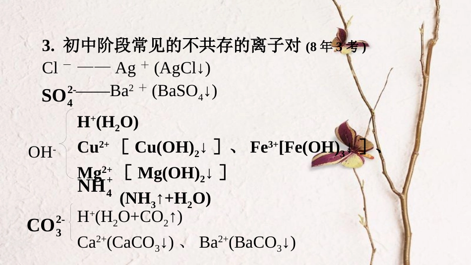 湖南省长沙市中考化学复习 第二部分 重点专题突破 专题一 物质的共存、检验、鉴别和除杂课件_第3页