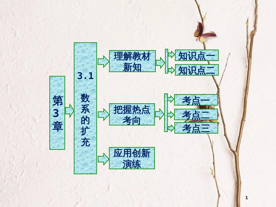 高中数学 第三章 数系的扩充与复数的引入 3.1 数系的扩充课件 苏教版选修2-2_第1页