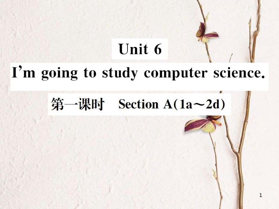 八年级英语上册 Unit 6 I’m going to study computer science（第1课时）习题课件 （新版）人教新目标版_第1页