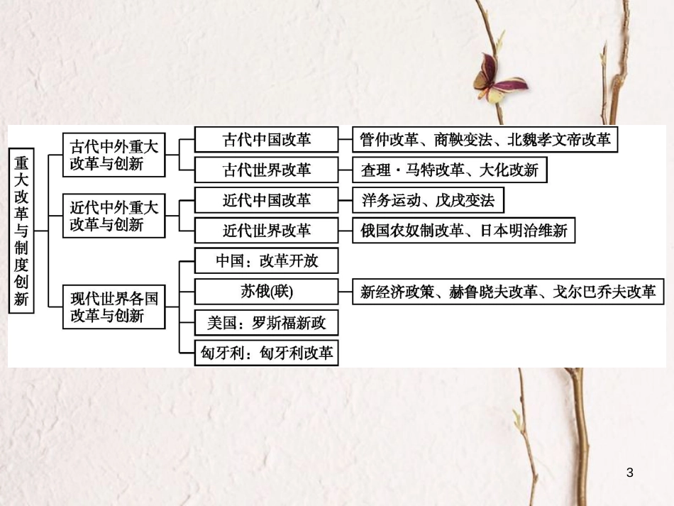 中考历史 单元专题六 重大改革与制度创新课件_第3页