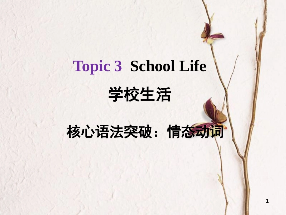 河北省中考英语总复习 Topic 3 School Life 1 情态动词课件_第1页