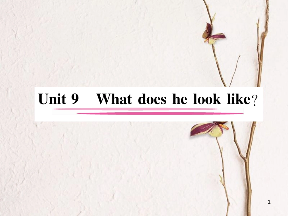 （安徽专版）七年级英语下册 Unit 9 What does he look like（第1课时）Section A（1a-2d）习题课件 （新版）人教新目标版_第1页