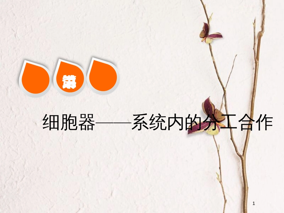 2019版高考生物一轮复习 第二单元 细胞的结构与物质的输入和输出 第二讲 细胞器——系统内的分工合作精选课件_第1页