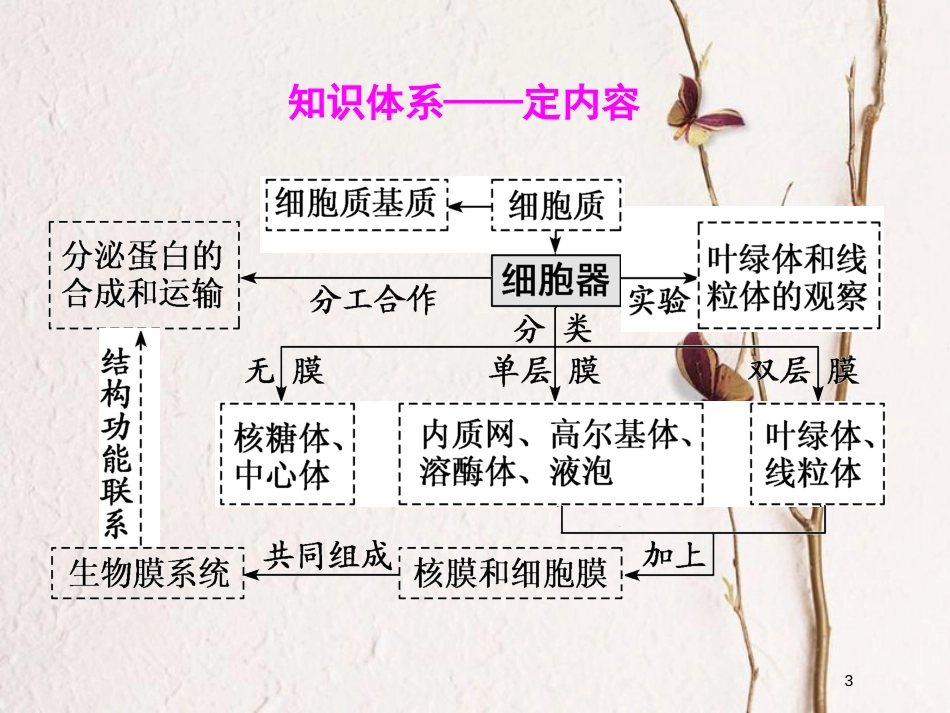2019版高考生物一轮复习 第二单元 细胞的结构与物质的输入和输出 第二讲 细胞器——系统内的分工合作精选课件_第3页