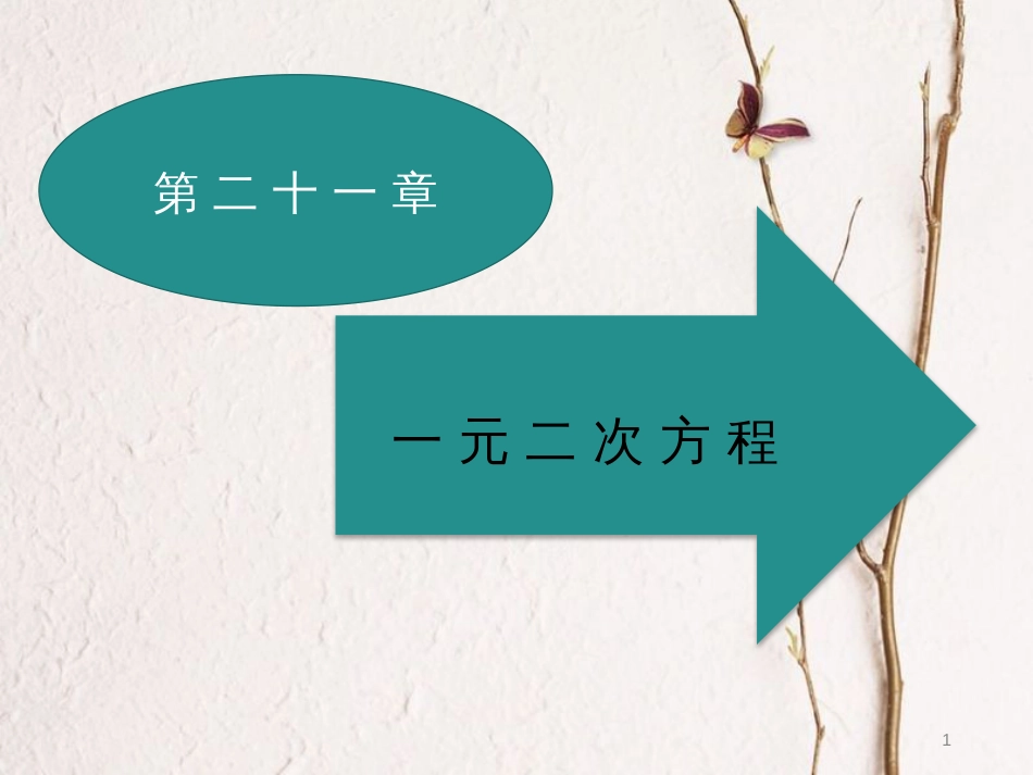 九年级数学上册 21 一元二次方程 21.1 一元二次方程课件 （新版）新人教版_第1页