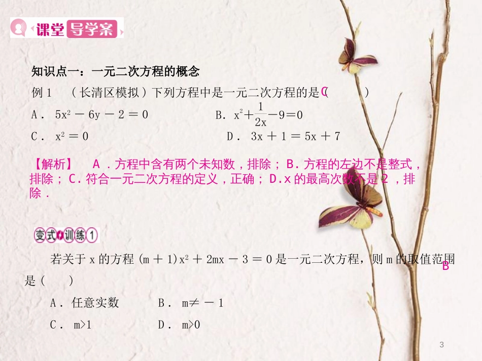 九年级数学上册 21 一元二次方程 21.1 一元二次方程课件 （新版）新人教版_第3页