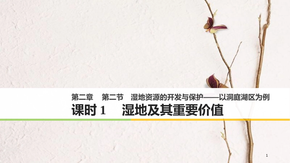 高中地理 第二章 区域可持续发展 第二节 湿地资源的开发与保护——以洞庭湖区为例（1）同步备课课件 湘教版必修3_第1页