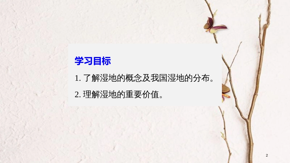 高中地理 第二章 区域可持续发展 第二节 湿地资源的开发与保护——以洞庭湖区为例（1）同步备课课件 湘教版必修3_第2页