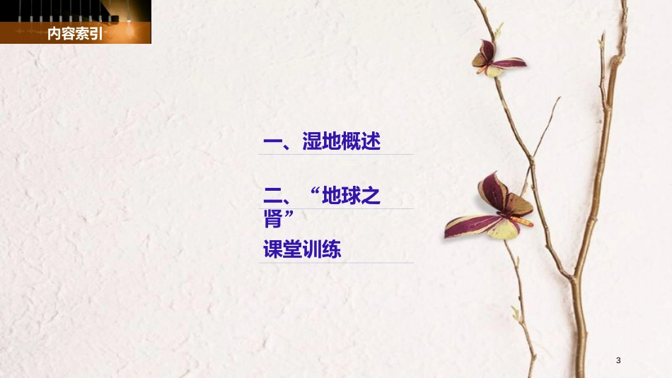 高中地理 第二章 区域可持续发展 第二节 湿地资源的开发与保护——以洞庭湖区为例（1）同步备课课件 湘教版必修3_第3页