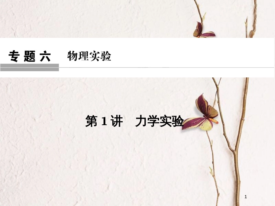 （全国通用）高考物理二轮复习 专题六 物理实验 第1讲 力学实验课件_第1页