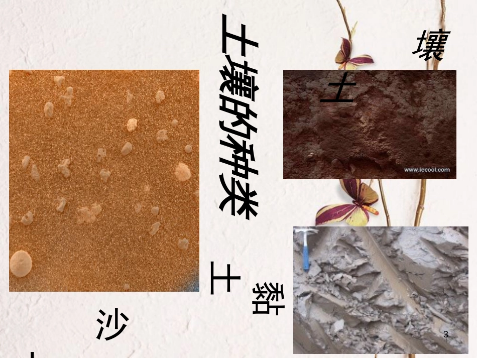 三年级科学上册 3.2 土壤的种类课件3 湘教版_第3页