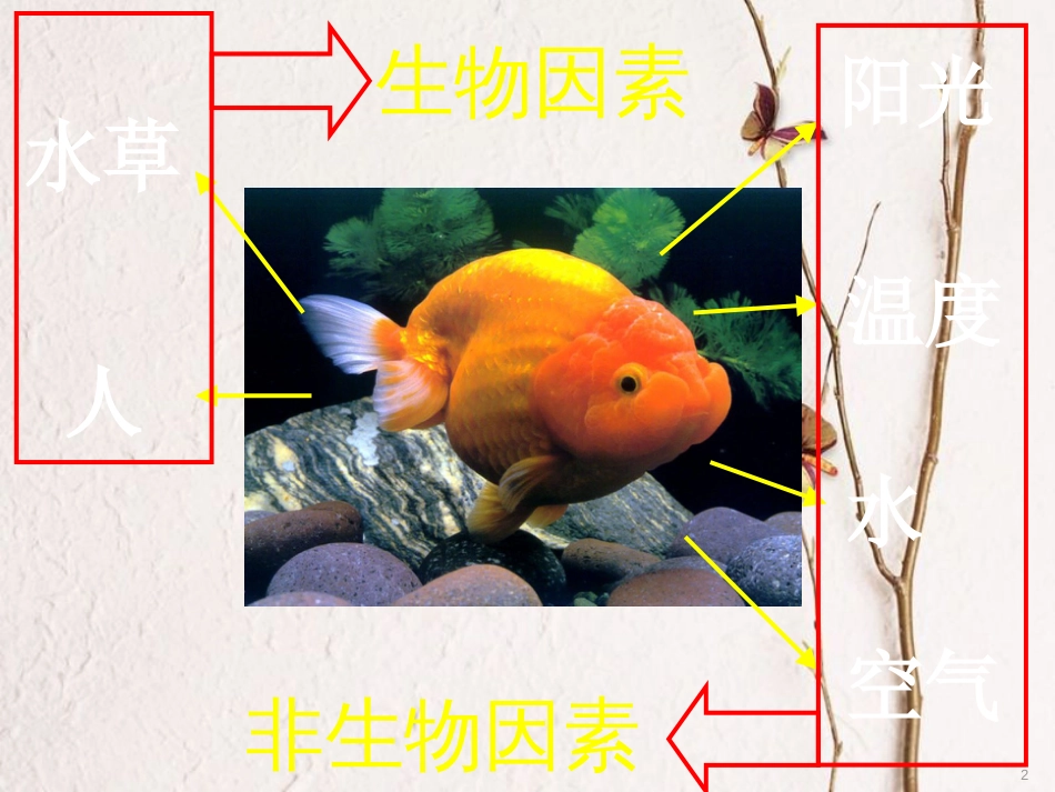 七年级生物上册 第一单元 第2章 第1节 生物与环境的关系课件 （新版）新人教版_第2页