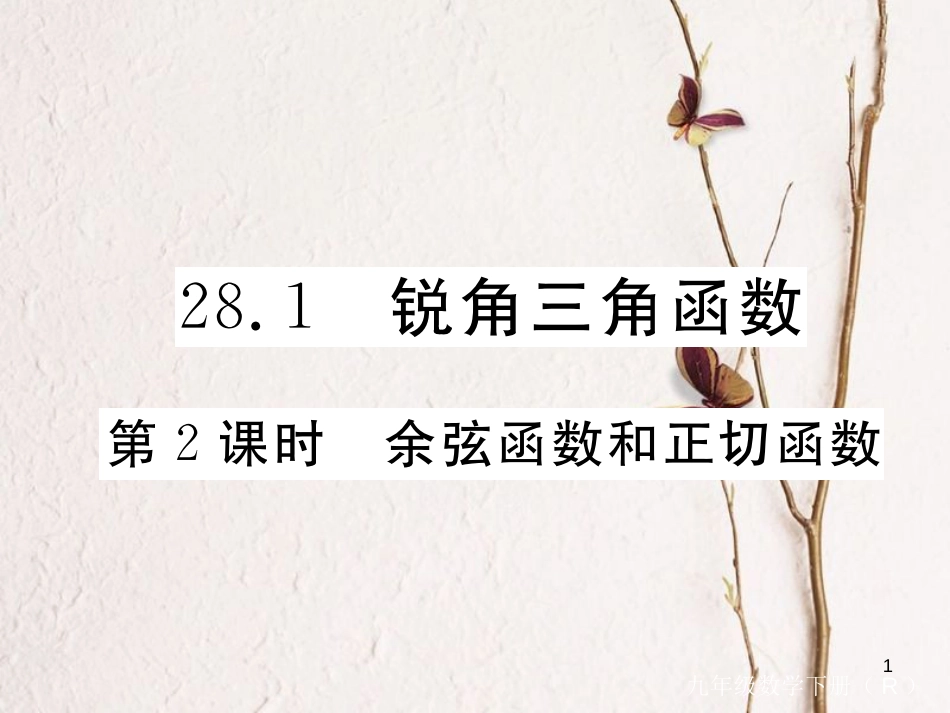 （安徽专版）九年级数学下册 第二十八章 锐角三角函数 28.1 第2课时 余弦函数和正切函数练习课件 （新版）新人教版_第1页