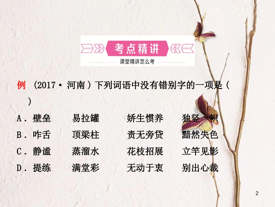 河南省中考语文专题四字形课件_第2页