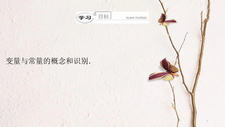 年八年级数学下册 第19章 一次函数（第28课时）变量课件 （新版）新人教版_第3页