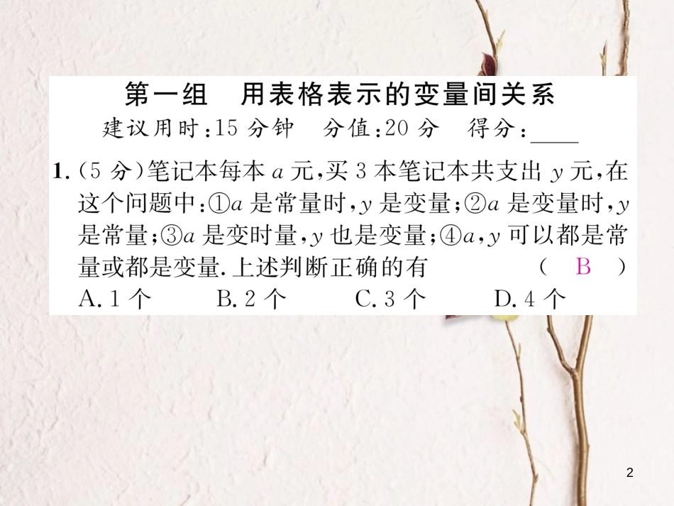 七年级数学下册 双休作业(四)课件 (新版)北师大版_第2页