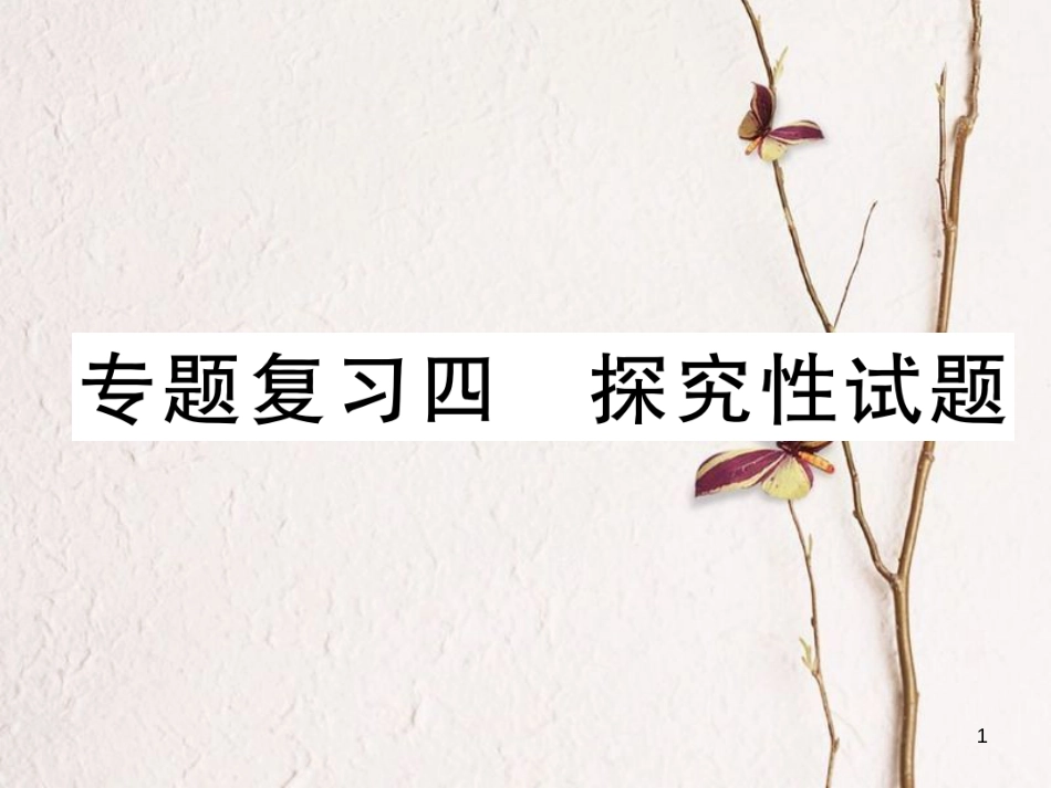 九年级化学下册 期末专题复习 专题复习4 探究性试题作业课件 （新版）新人教版_第1页