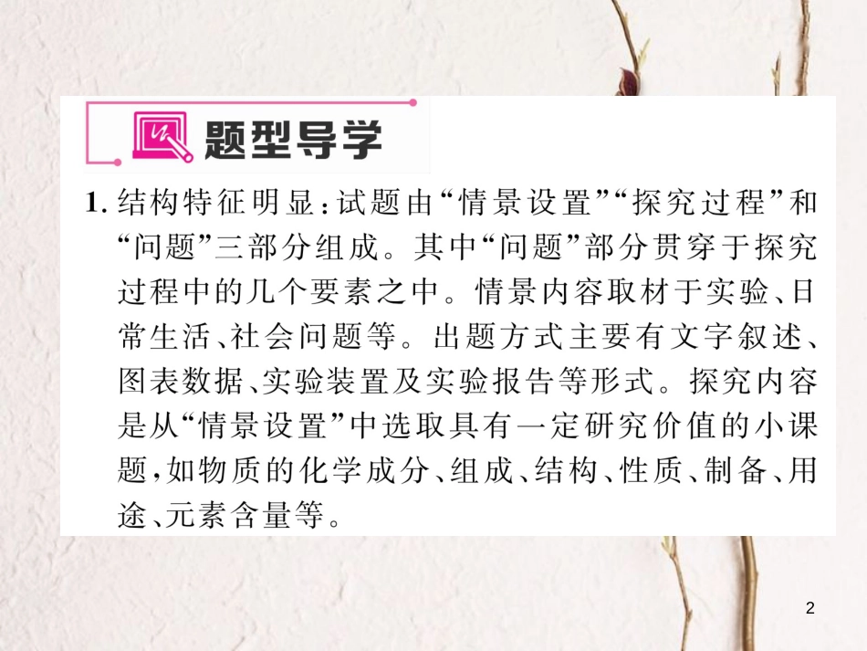 九年级化学下册 期末专题复习 专题复习4 探究性试题作业课件 （新版）新人教版_第2页