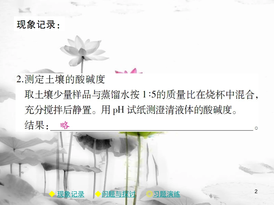 年春九年级化学下册 第十章 酸和碱 实验活动7 溶液酸碱性的检验课件 （新版）新人教版_第2页