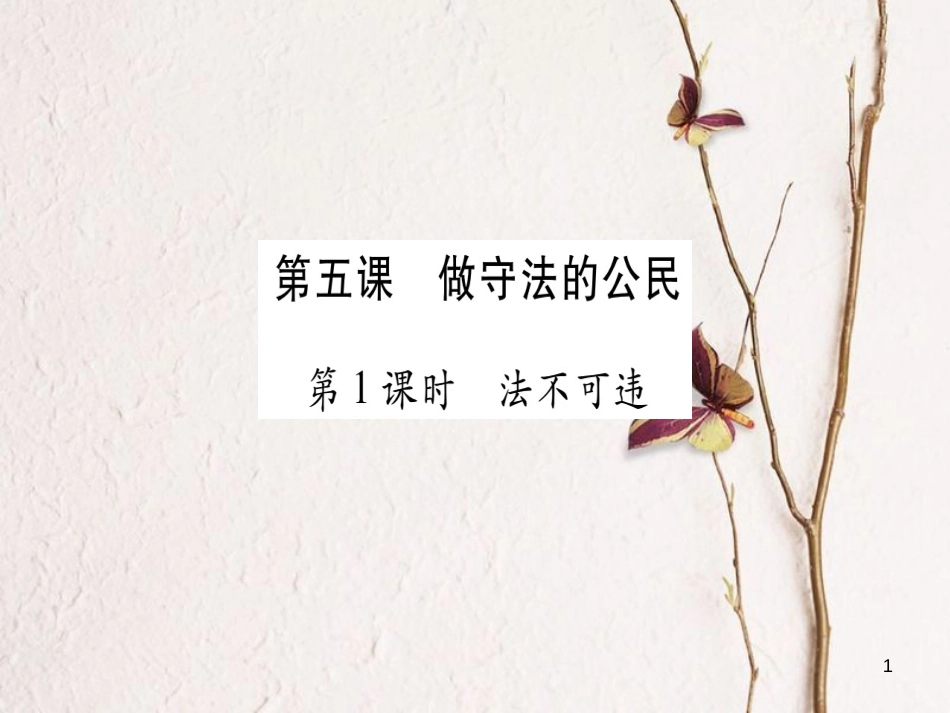 八年级道德与法治上册 第二单元 遵守社会规则 第五课 做守法的公民预习课件 新人教版_第1页